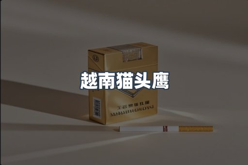 越南猫头鹰